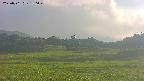 area3-20250701180049.jpg