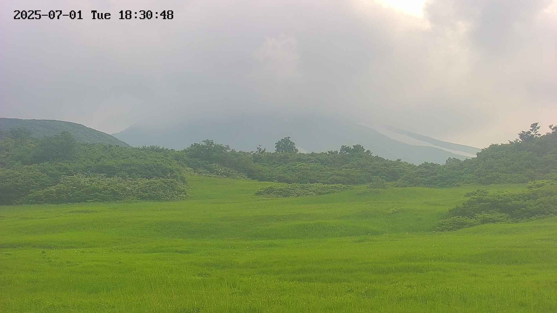 area3-20250701183049.jpg