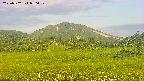 area3-20250702050055.jpg