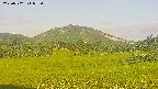 area3-20250702052057.jpg
