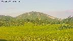 area3-20250702053057.jpg