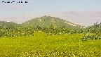 area3-20250702054059.jpg