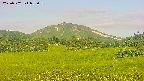 area3-20250702055058.jpg