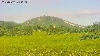 area3-20250702060057.jpg