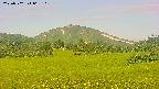 area3-20250702062110.jpg