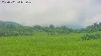 area3-20250702095048.jpg