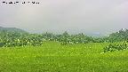 area3-20250702100049.jpg