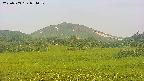 area3-20250703051051.jpg