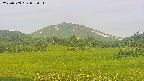 area3-20250703052053.jpg