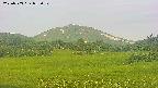area3-20250703053052.jpg