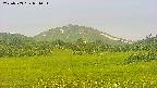 area3-20250703054052.jpg
