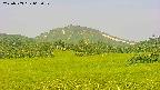 area3-20250703062052.jpg