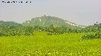 area3-20250703072053.jpg