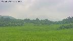 area3-20250703121051.jpg