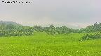area3-20250703123049.jpg
