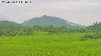area3-20250704054052.jpg