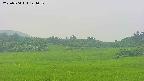 area3-20250704141051.jpg