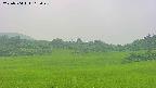area3-20250704162049.jpg