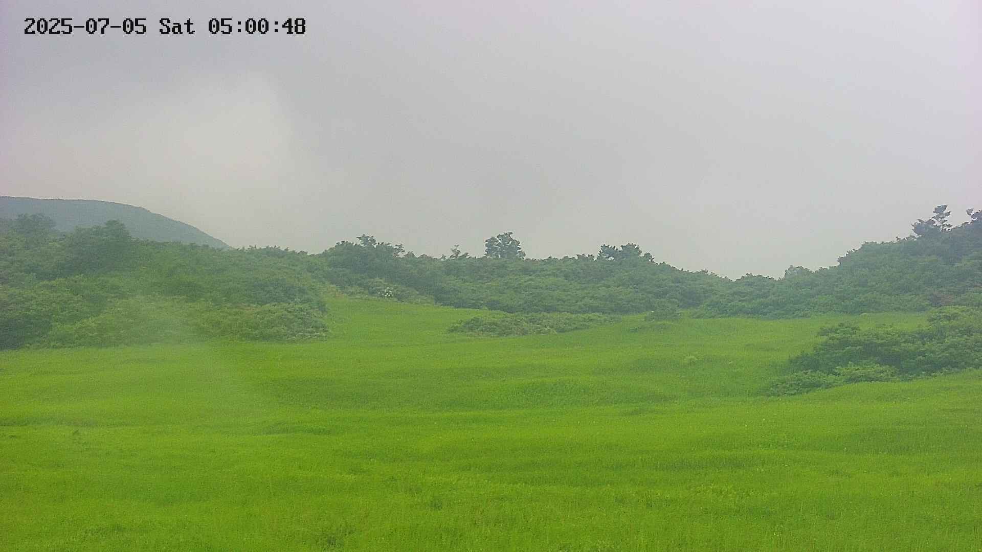 area3-20250705050048.jpg