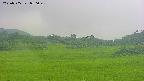 area3-20250705050048.jpg