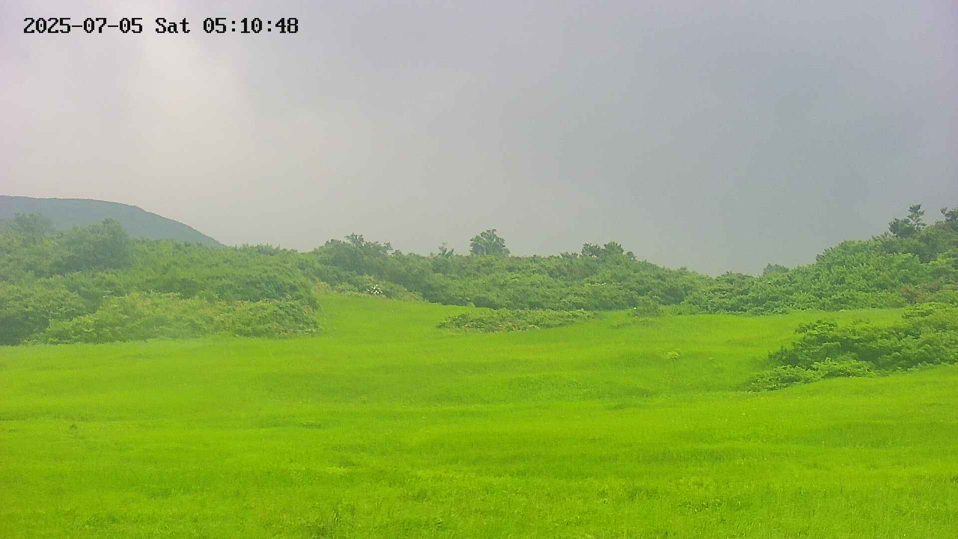 area3-20250705051049.jpg