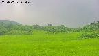 area3-20250705051049.jpg