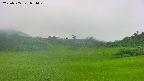 area3-20250705054050.jpg