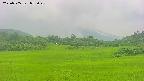area3-20250705055049.jpg