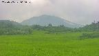 area3-20250705060051.jpg
