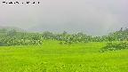 area3-20250705062051.jpg