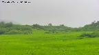 area3-20250705064048.jpg