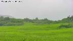 area3-20250705065046.jpg