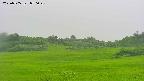 area3-20250705070046.jpg