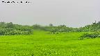 area3-20250705073047.jpg