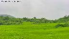 area3-20250705074049.jpg