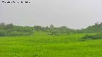 area3-20250705081050.jpg