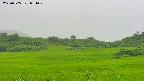 area3-20250705094049.jpg