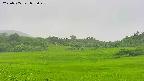 area3-20250705095049.jpg