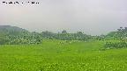 area3-20250705104048.jpg