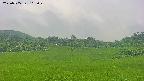 area3-20250705105049.jpg