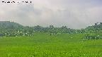 area3-20250705110052.jpg