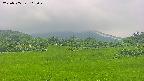area3-20250705113051.jpg