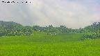 area3-20250705123051.jpg