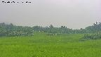 area3-20250705125048.jpg
