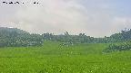 area3-20250705135050.jpg