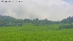 area3-20250705143048.jpg