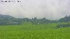 area3-20250705150050.jpg