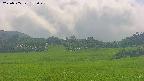 area3-20250705152049.jpg