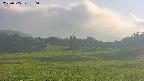 area3-20250705180058.jpg