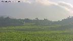 area3-20250705181057.jpg